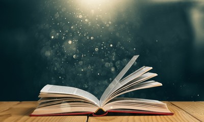 有没专门帮人贷款的人