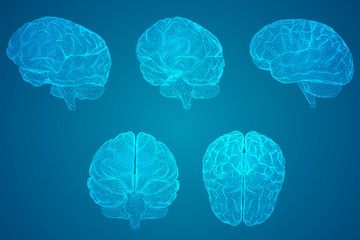 有没专门帮人贷款的人