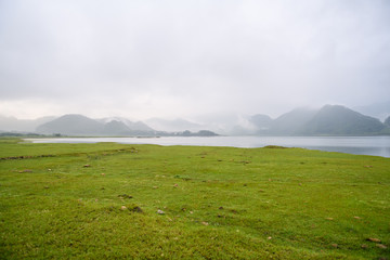 植物角观察记录表如何挂起来