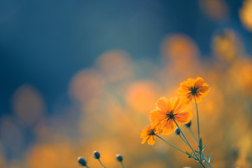 植物角观察记录表如何挂起来