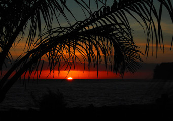 赵一曼的事迹简洁语言