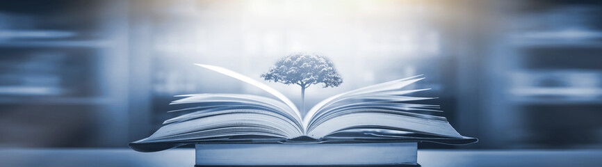 幼儿园大班中秋的活动方案