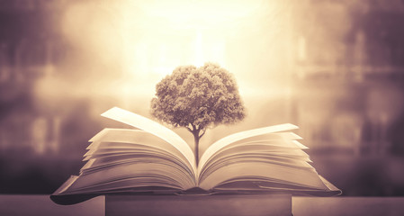 永川野生动物园一日游攻略