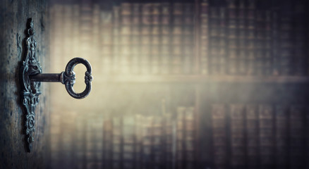 幼儿园大班中秋的活动方案