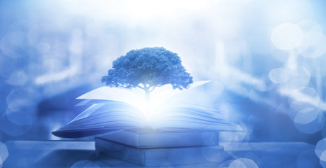 幼儿园大班中秋的活动方案