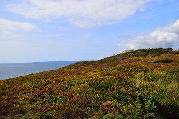 有没专门帮人贷款的人