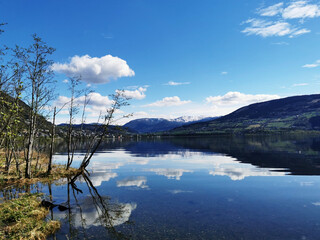 植物角观察记录表如何挂起来