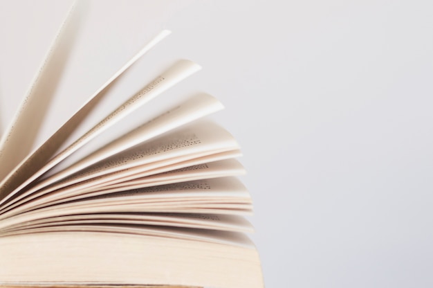 植物角观察记录表如何挂起来