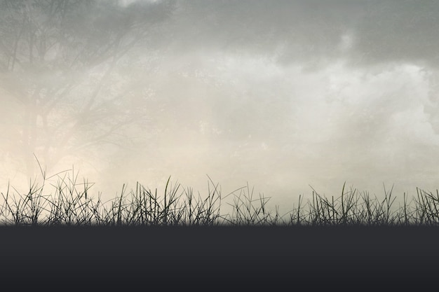 有没专门帮人贷款的人