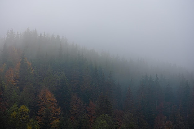 四个太阳幼儿园公开课教案