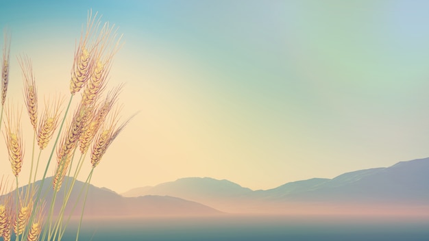 馒头在上供时碎了有什么说法吗？