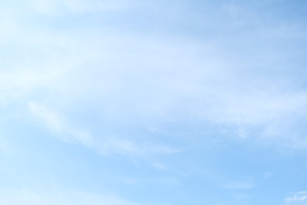 植物角观察记录表如何挂起来