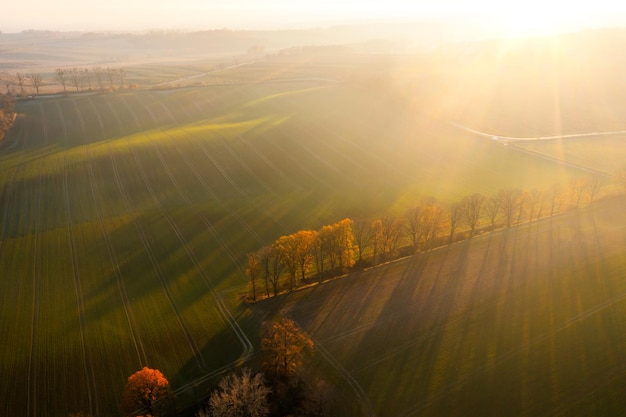 赵一曼的事迹简洁语言