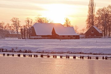 父亲六个手指会遗传给孩子么