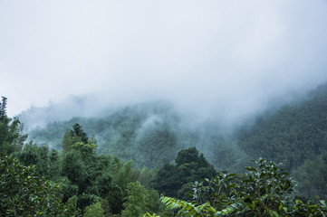 馒头在上供时碎了有什么说法吗？